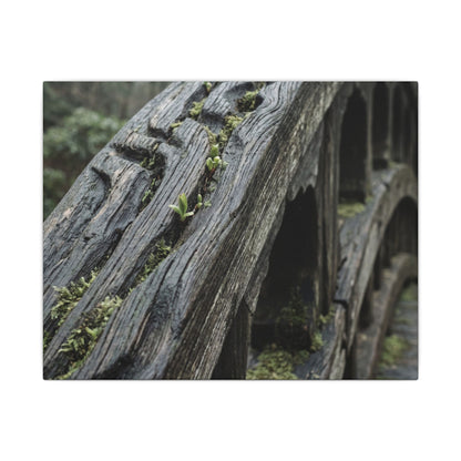 Overcast Wooden Bridge Canvas Art - Japandi Kanso