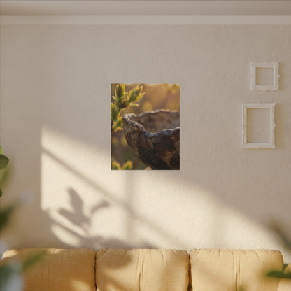 Golden Hour Ceramic Bowl Canvas Art - Dark Japandi Ma