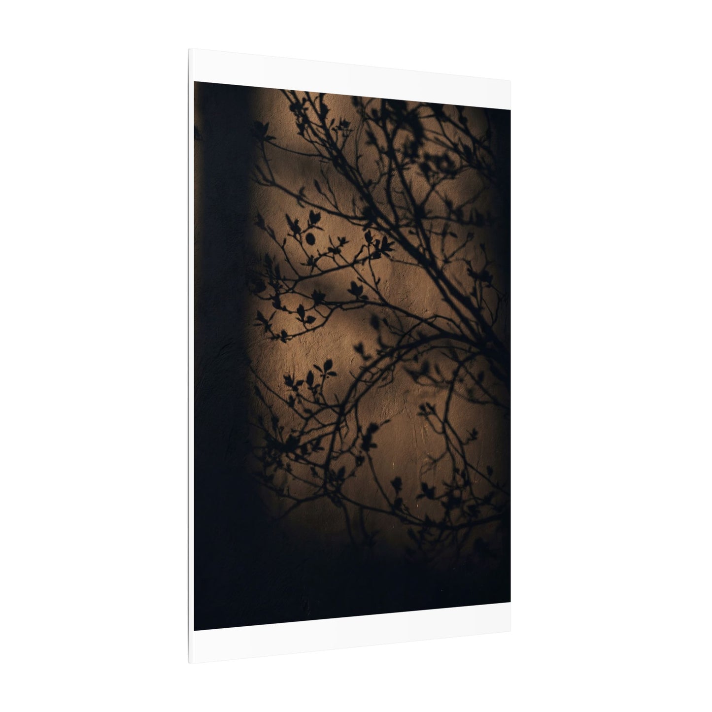 Dark Japandi Shadow Play in Golden Hour | Shadow Zen Canvas Art