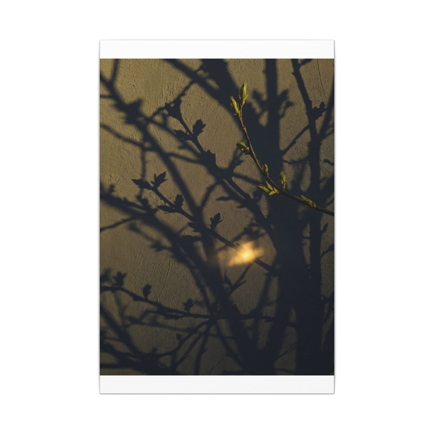 Bold Shadow Play Canvas Art - Moody Minimal Dark Japandi