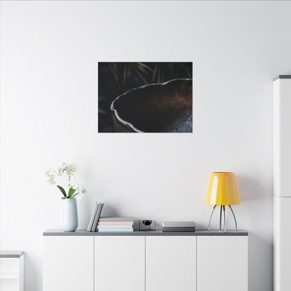 Luxurious Ceramic Bowl Canvas Art - Shadow Zen Dark Japandi