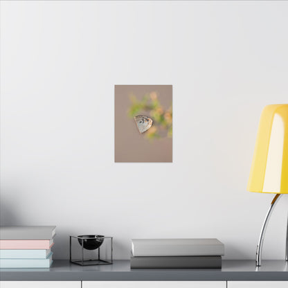 Ceramic Bowl Canvas Art | Spring Japandi Japanese Pattern Art