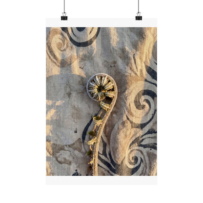 Fern Unfurling Winter Wall Art Print | Japandi Warm Design