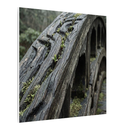 Overcast Wooden Bridge Canvas Art - Japandi Kanso