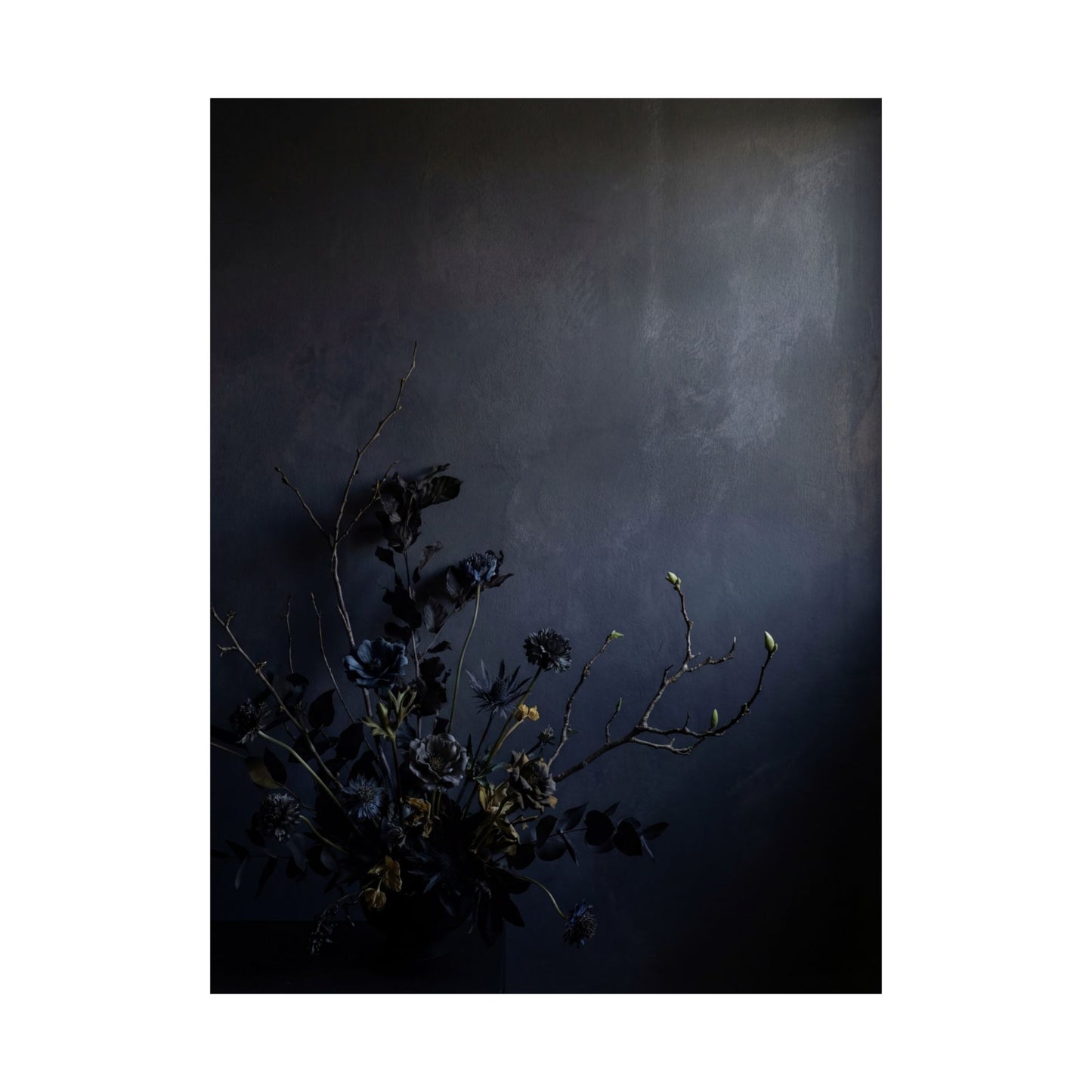 Dark Japandi Dried Flowers in Dawn | Shadow Zen Wall Art Print