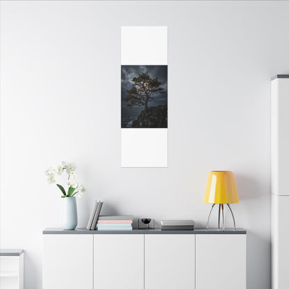 Dappled Pine Tree Canvas Art - Dark Japandi Fukinsei