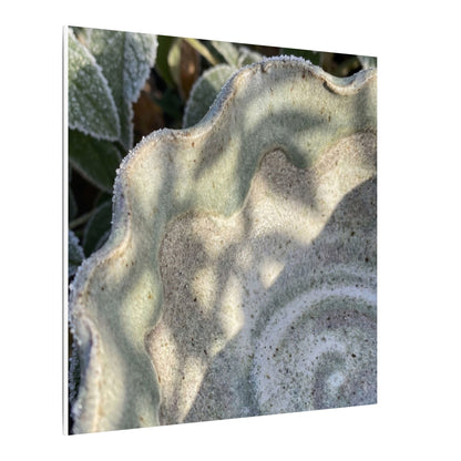 Dappled Ceramic Bowl Canvas Art - Japandi Seijaku