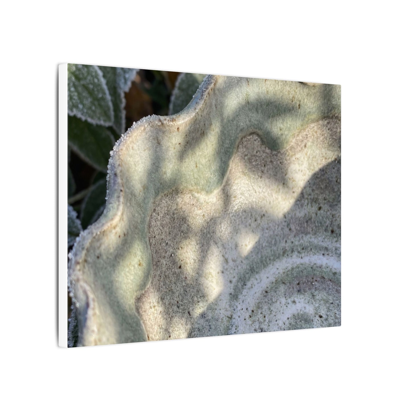 Dappled Ceramic Bowl Canvas Art - Japandi Seijaku
