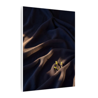 Silk Drape Shadow Zen Canvas Art | Luxurious Dark Japandi Art