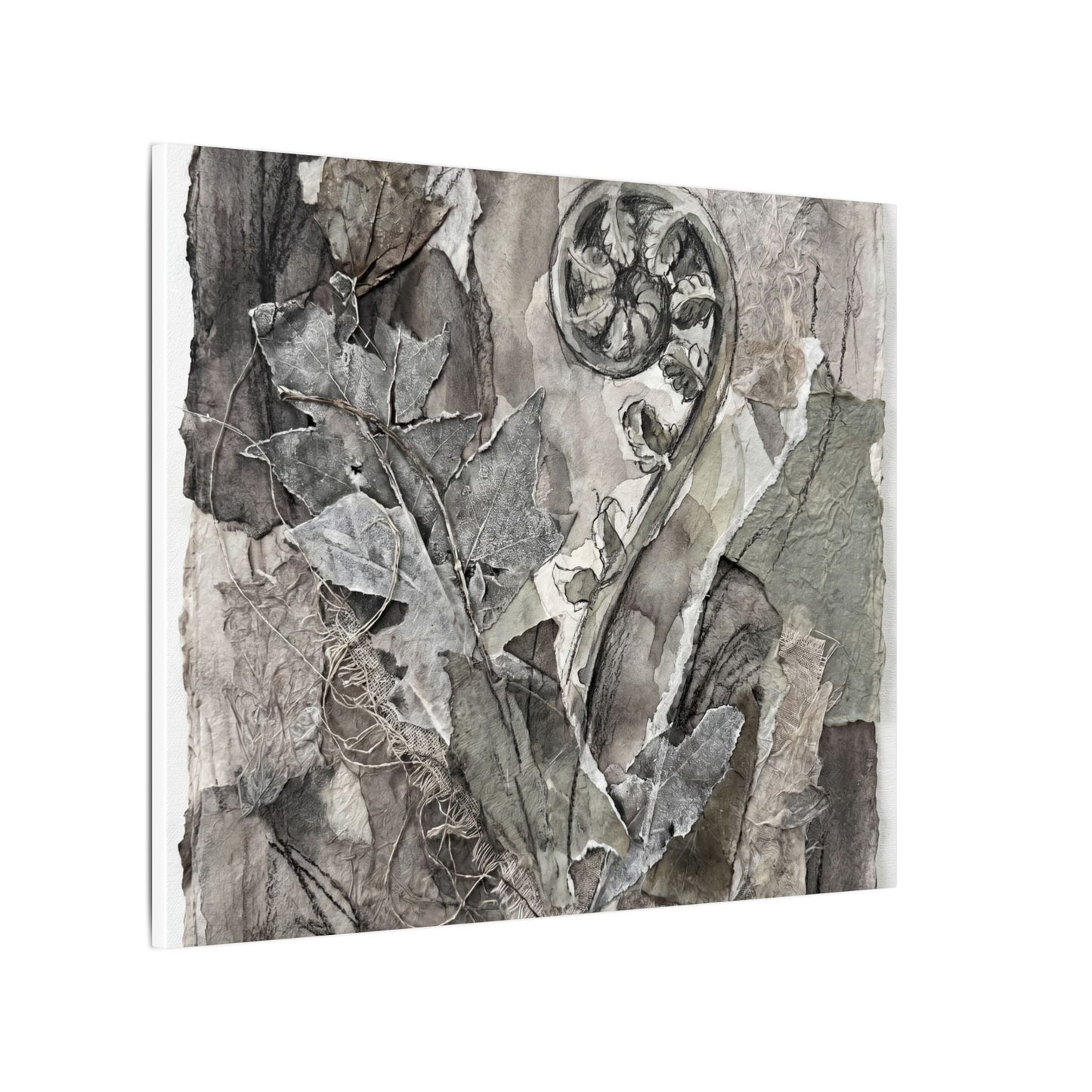 Japandi Fern Unfurling in Overcast | Texture Canvas Art
