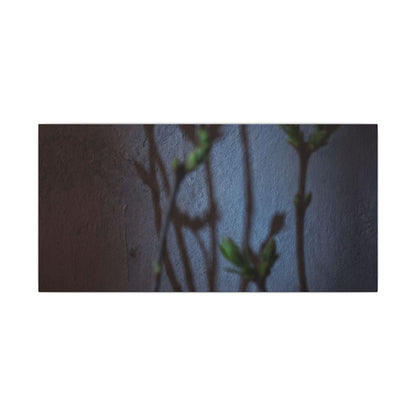 Shadow Play Spring Canvas Art | Dark Japandi Sophisticated Design