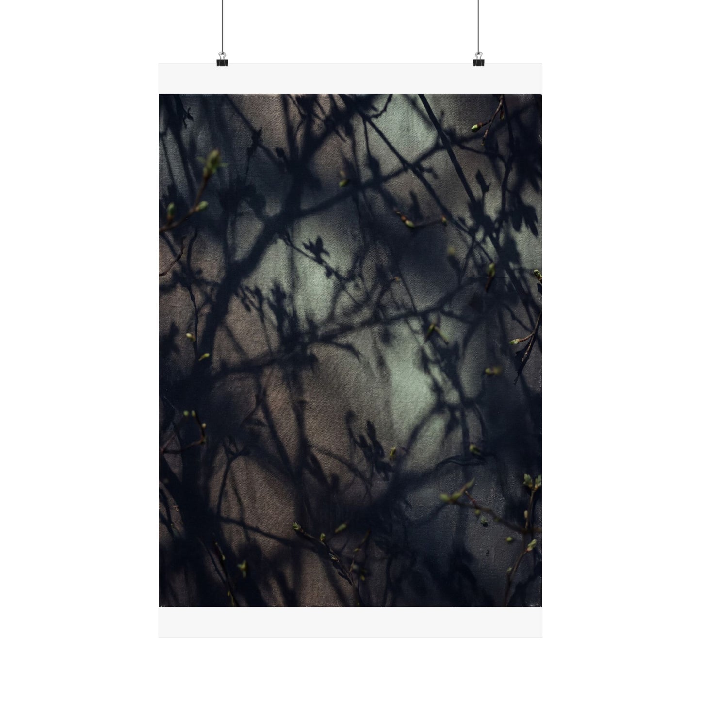 Spring Shadow Play Moody Minimal Wall Art Print | Sophisticated Decor