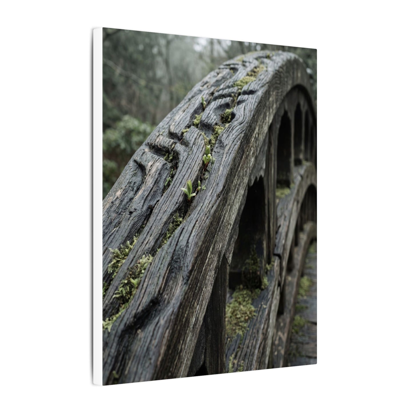 Overcast Wooden Bridge Canvas Art - Japandi Kanso