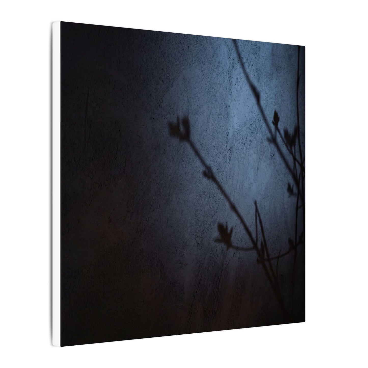 Shadow Play Canvas Art | Spring Dark Japandi Moody Minimal Art