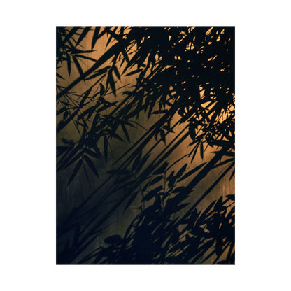Summer Shadow Play Shadow Zen Wall Art Print | Luxurious Decor