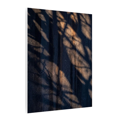 Dark Japandi Shadow Play in Golden Hour | Shadow Zen Canvas Art