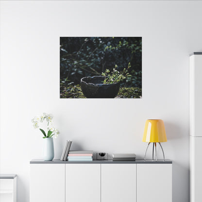 Dappled Ceramic Bowl Canvas Art - Dark Japandi Datsuzoku