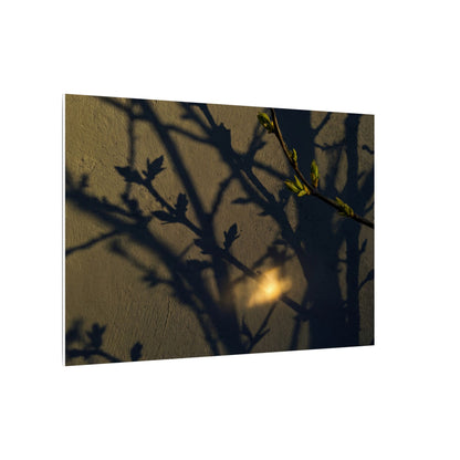Bold Shadow Play Canvas Art - Moody Minimal Dark Japandi