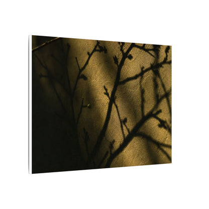 Golden Hour Shadow Play Canvas Art - Dark Japandi Seijaku