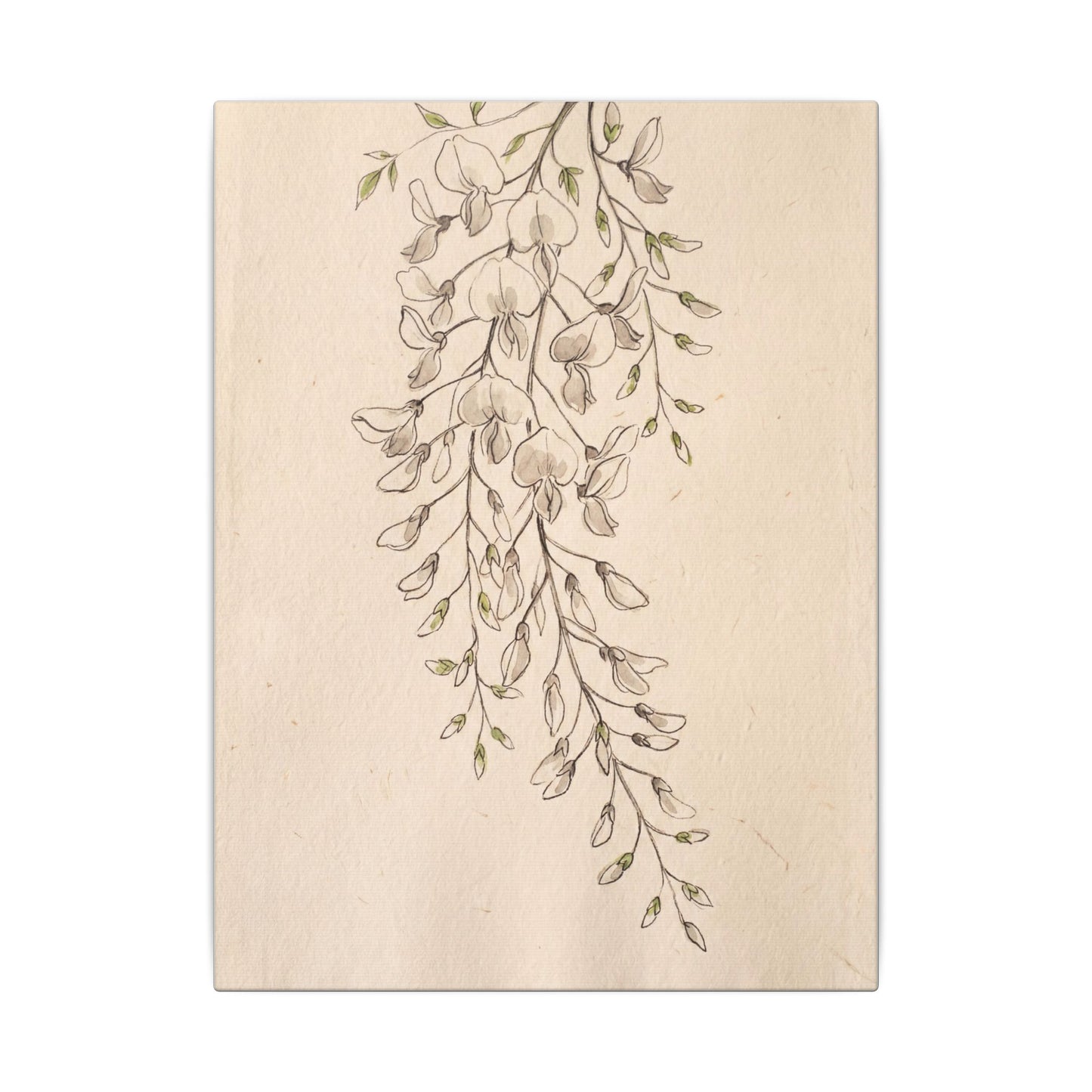 Japandi Wisteria in Golden Hour | Minimal Line Canvas Art