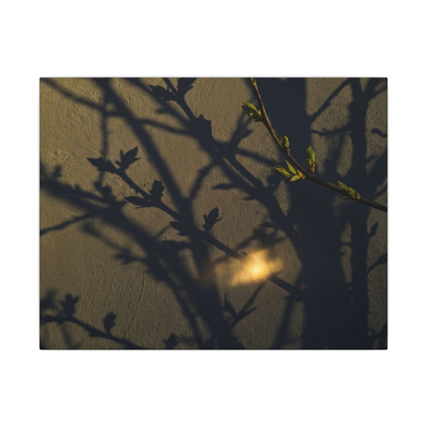 Bold Shadow Play Canvas Art - Moody Minimal Dark Japandi