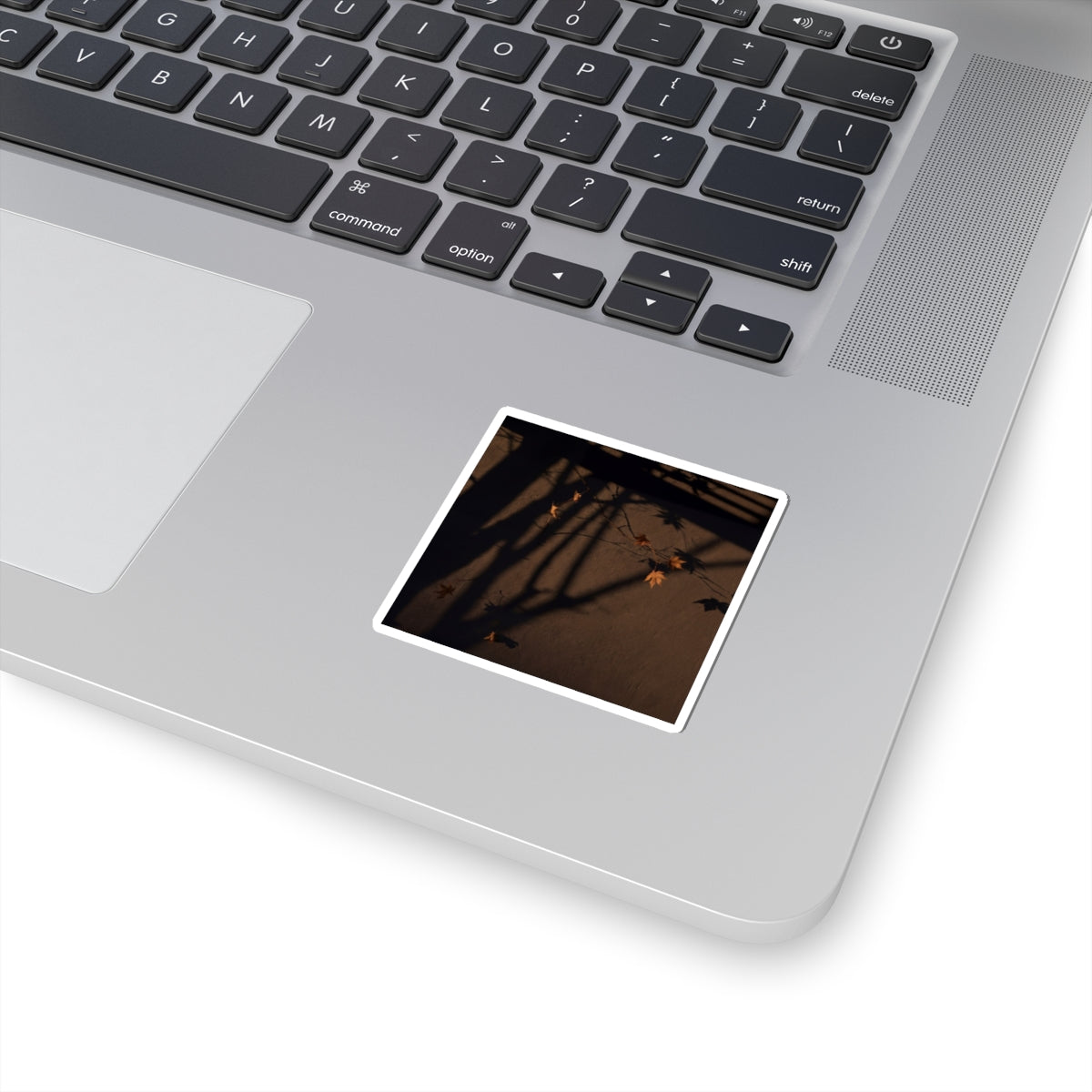 Autumn Shadow Play Shadow Zen Sticker | Bold Decor