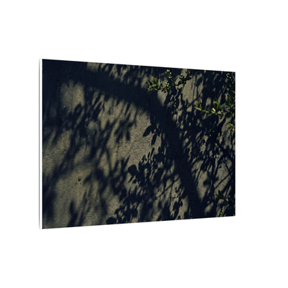 Atmospheric Shadow Play Canvas Art - Moody Minimal Dark Japandi