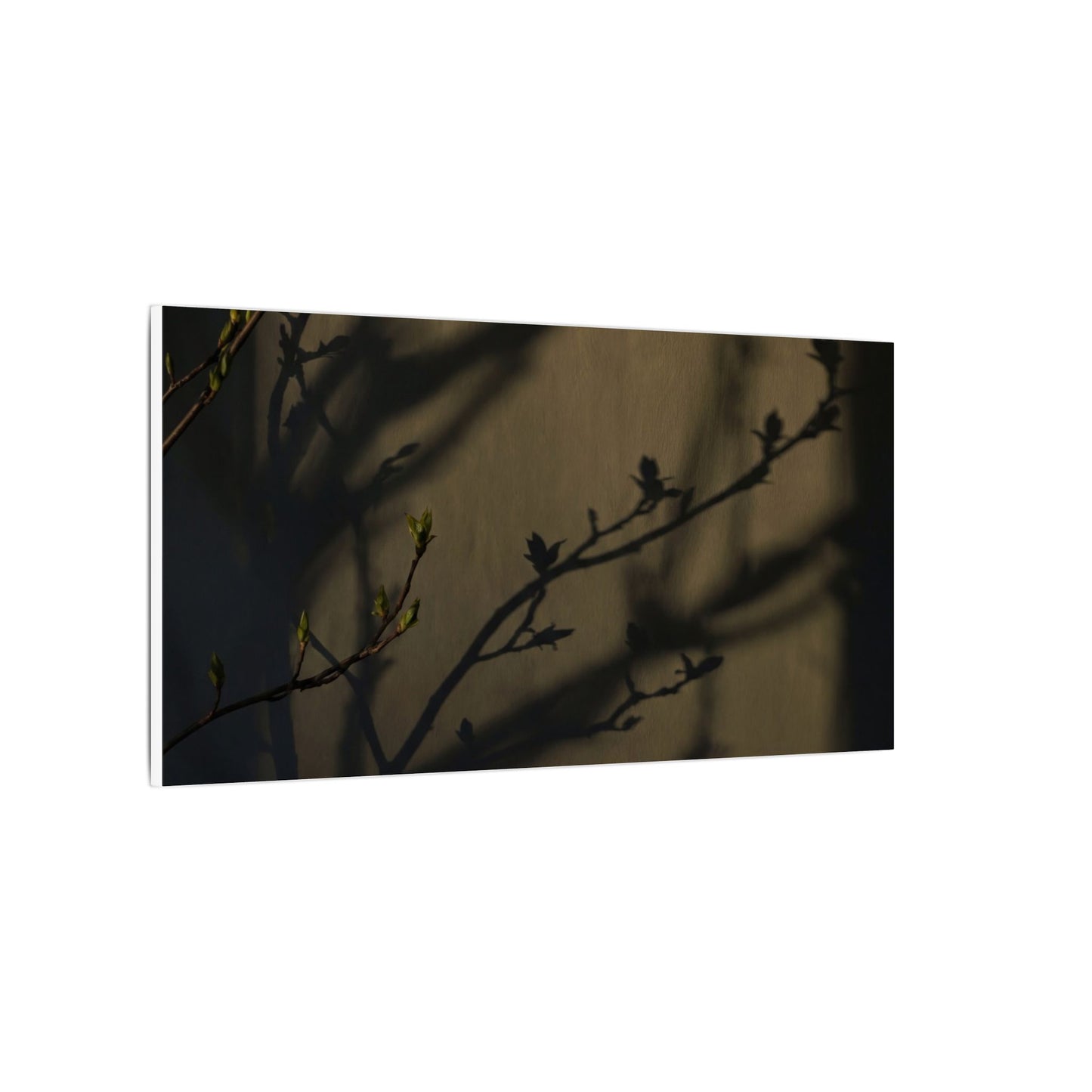 Seijaku Shadow Play Canvas Art - Dark Japandi Charcoal Ink