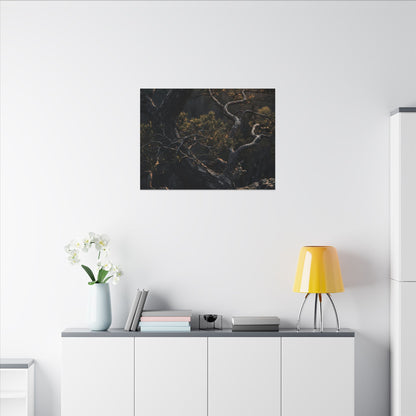 Moody Pine Tree Canvas Art - Moody Minimal Dark Japandi