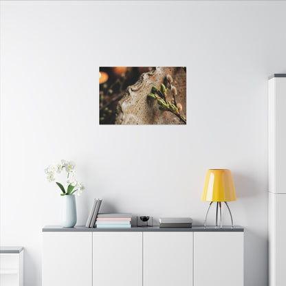 Overcast Ceramic Bowl Canvas Art - Japandi Ma