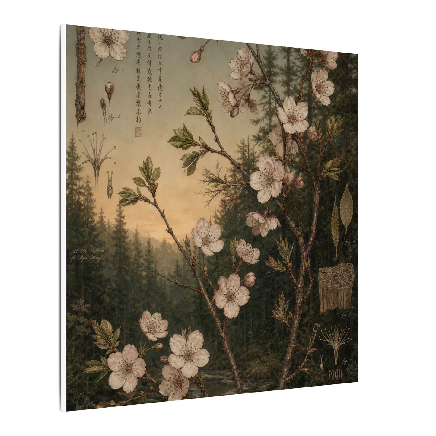 Spring Cherry Blossom Herbarium Canvas Art | Nostalgic Decor