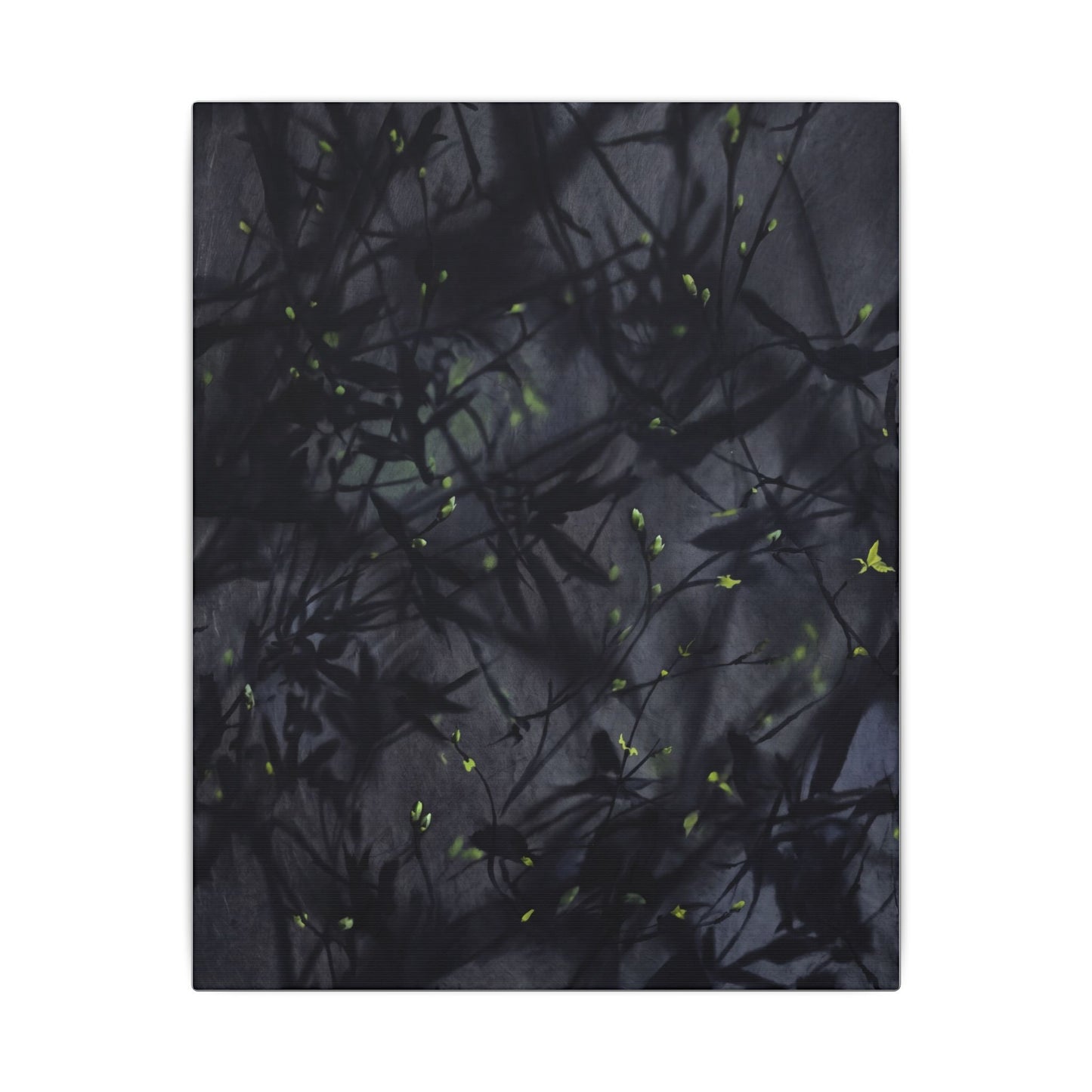 Shadow Play Spring Canvas Art | Dark Japandi Atmospheric Design