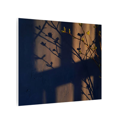 Shadow Play Canvas Art | Spring Dark Japandi Shadow Zen Art