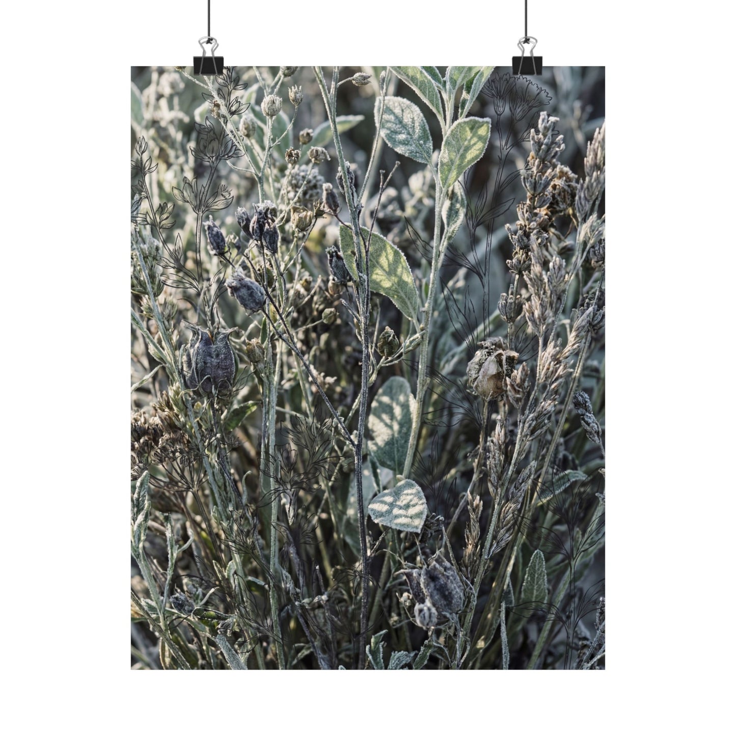 Dried Flowers Winter Wall Art Print | Japandi Neutral Design Art Print