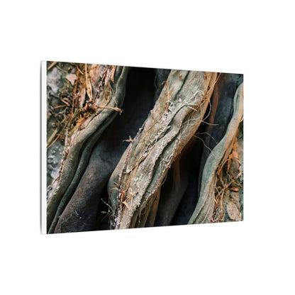 Silk Drape Winter Canvas Art | Japandi Cozy Design