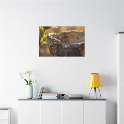 Golden Hour Ceramic Bowl Canvas Art - Dark Japandi Ma