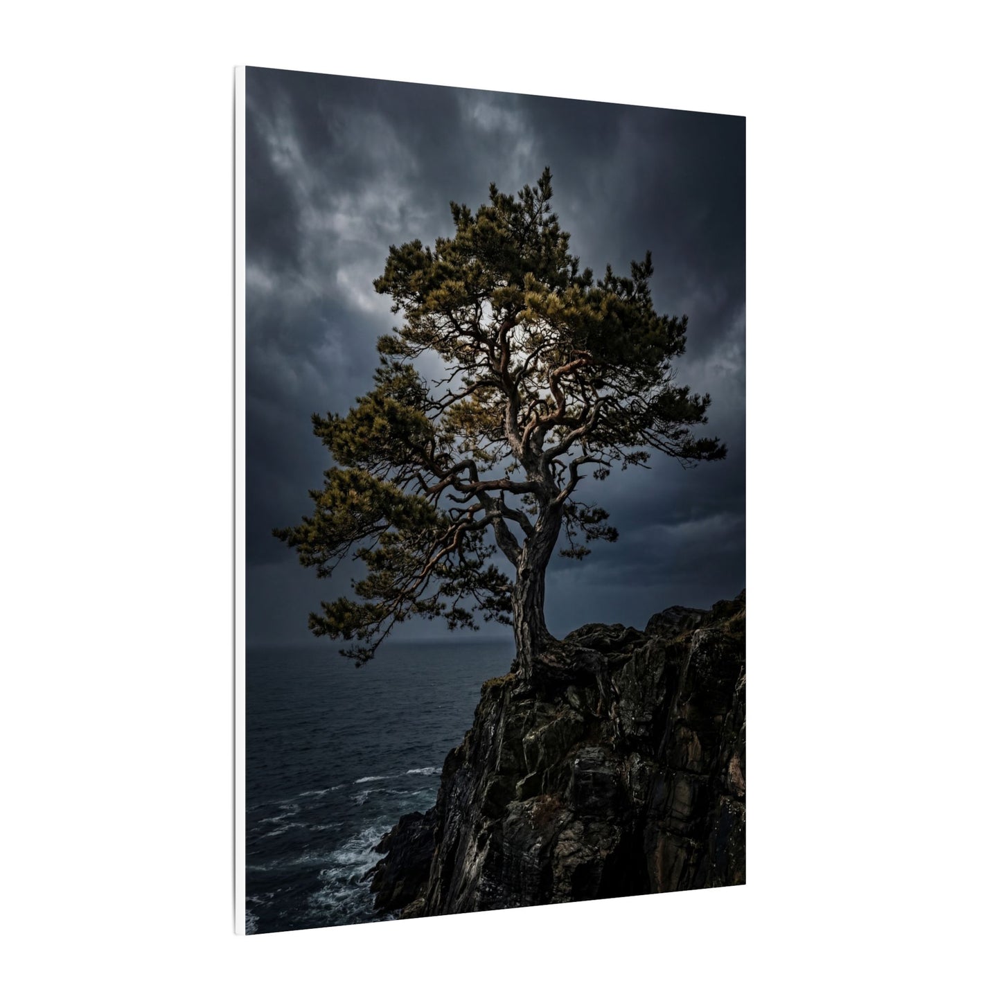 Dappled Pine Tree Canvas Art - Dark Japandi Fukinsei