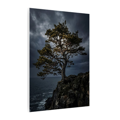 Dappled Pine Tree Canvas Art - Dark Japandi Fukinsei