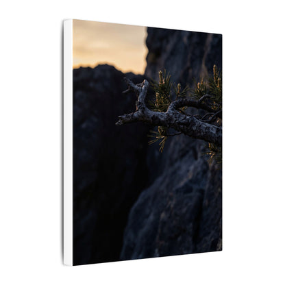 Pine Tree Moody Minimal Canvas Art | Sophisticated Dark Japandi Art