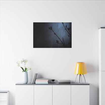 Shadow Play Canvas Art | Spring Dark Japandi Moody Minimal Art
