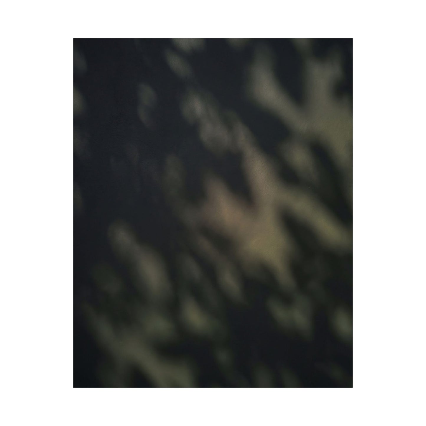 Dappled Shadow Play Wall Art Print - Dark Japandi Ma