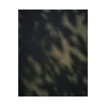 Dappled Shadow Play Wall Art Print - Dark Japandi Ma