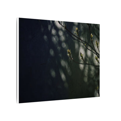 Dark Japandi Shoji Screen in Dappled | Moody Minimal Canvas Art
