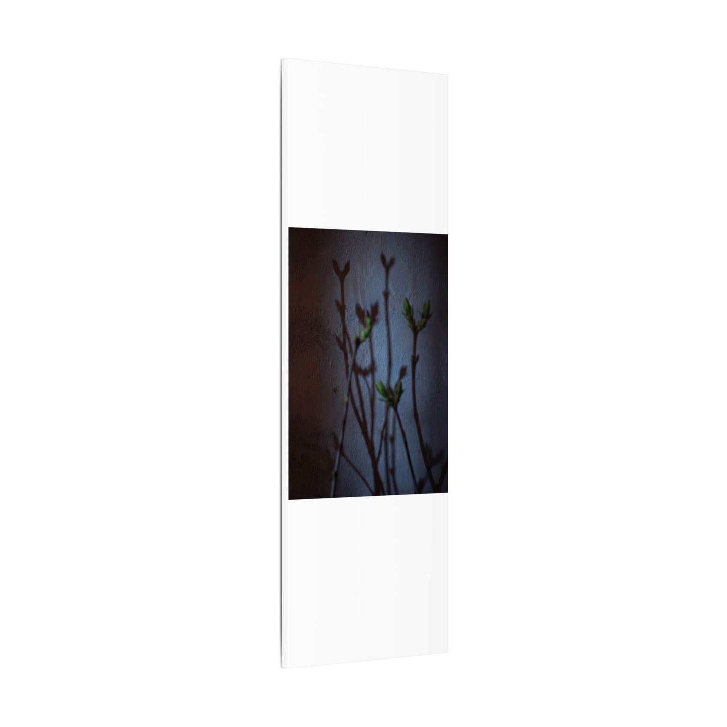 Shadow Play Spring Canvas Art | Dark Japandi Sophisticated Design