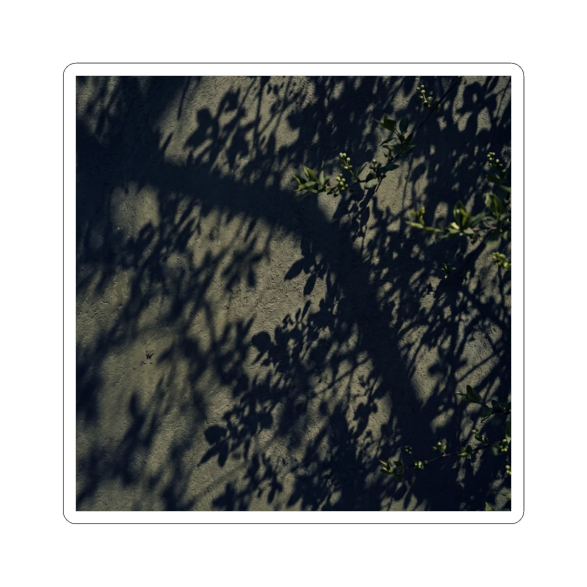 Dark Japandi Shadow Play in Dappled | Moody Minimal Sticker