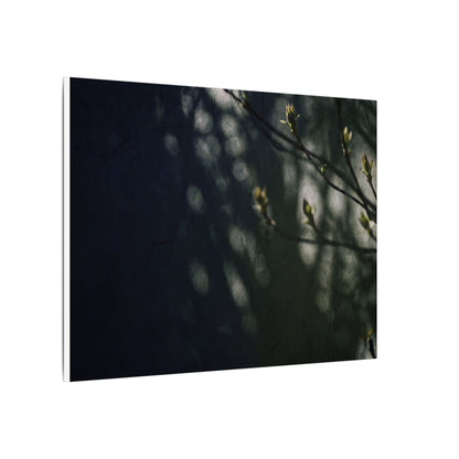 Dark Japandi Shoji Screen in Dappled | Moody Minimal Canvas Art