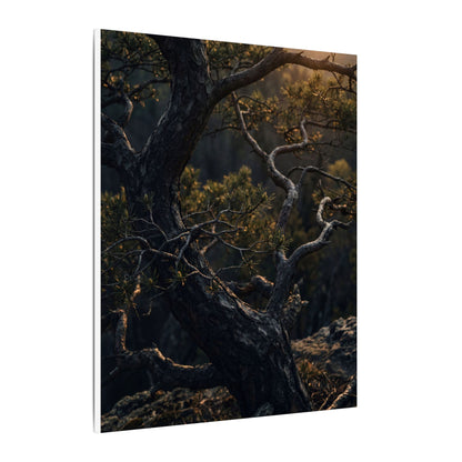 Moody Pine Tree Canvas Art - Moody Minimal Dark Japandi