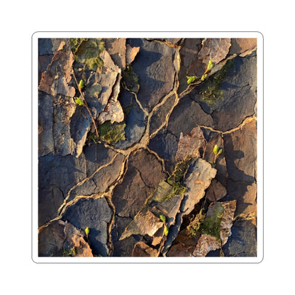 Cracked Earth Dark Texture Sticker | Moody Dark Japandi Art