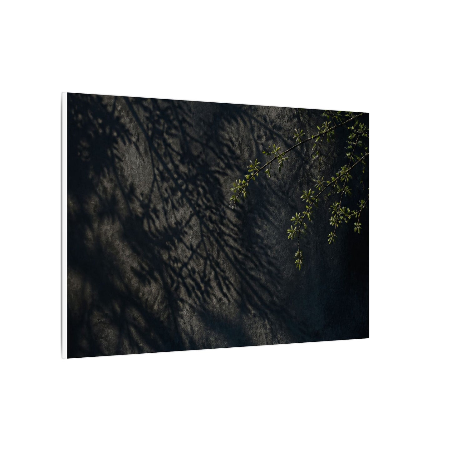 Overcast Shadow Play Canvas Art - Dark Japandi Seijaku
