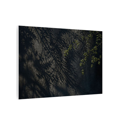 Overcast Shadow Play Canvas Art - Dark Japandi Seijaku
